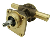 Raw water pump