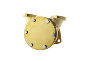 Perkins 6.354 raw water pump