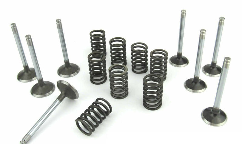 Volvo Penta MD22 valve & spring set