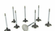 Volvo Penta MD22 valve & spring set