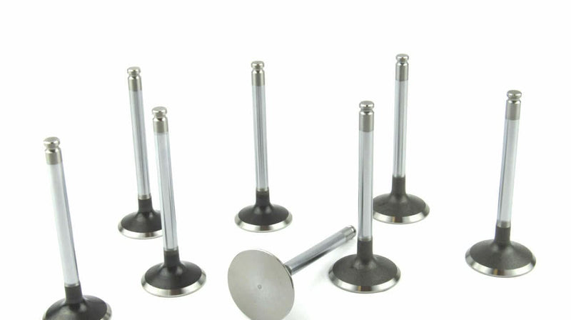 Volvo Penta MD22 valve & spring set